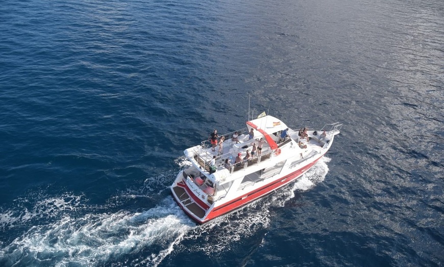 Image 3: Paseo en barco para avistamiento de cetáceos