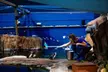 Hands-on experiences and new immersive exhibits! Visit from 4pm-8pm. (Up to 29% Off) - Second Medium