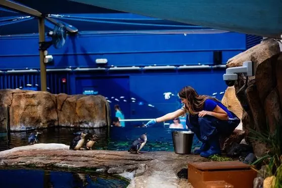 Discover the Wonder of the Ocean at Birch Aquarium