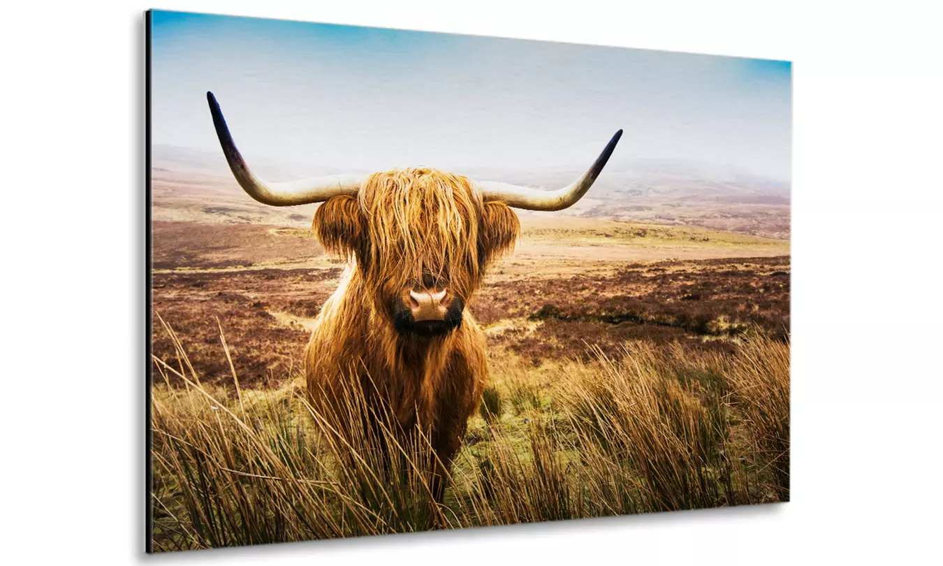 Foto auf Aluminium in verschiedenen Größen