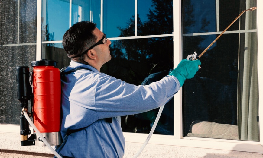 Image 3: Pest Control, Termite Inspection & Complete Flea Treatment
