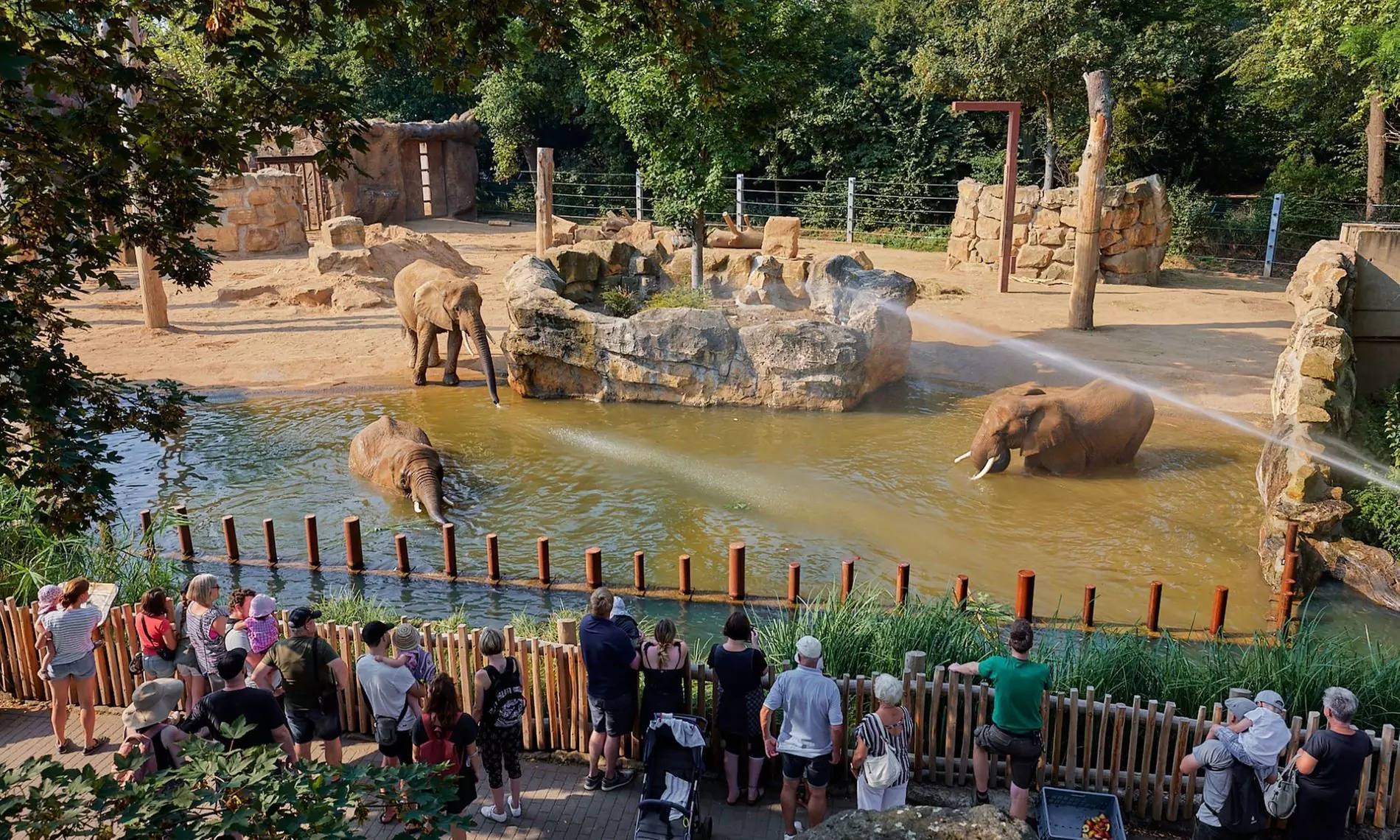 Tageskarte für 1 Erwachsenen im Zoo Dresden im Januar oder Februar '26