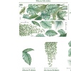 Image 5: Autocollants muraux en forme de plantes tropicales