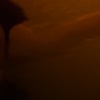 Image 7: Rejuvenate With Infrared Sauna And Fire & Ice Sessions For One Or Two