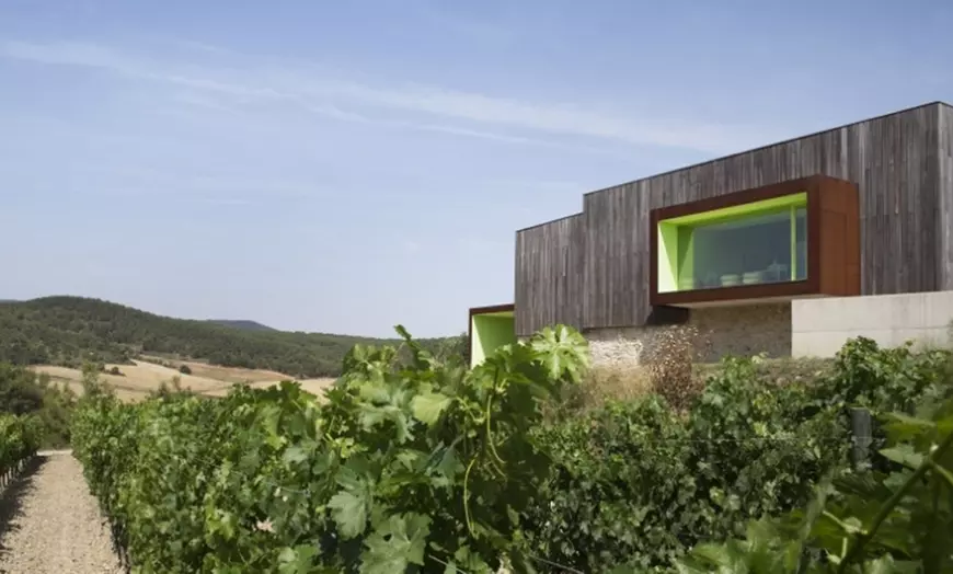 Image 4: Paseo por viñedo, visita a bodegas y cata de 3 vinos para 1 o 2 