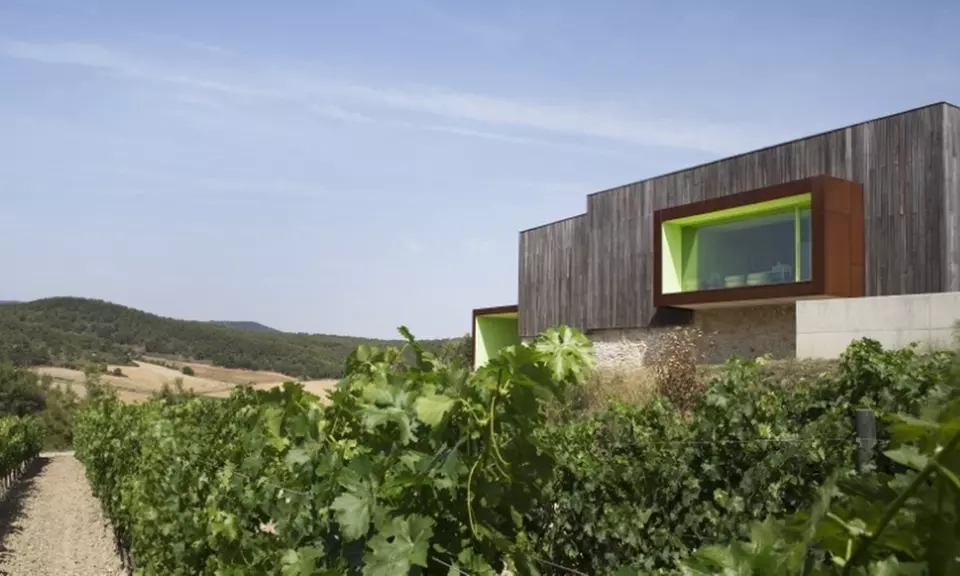 Paseo por viñedo, visita a bodegas y cata de 3 vinos para 1 o 2