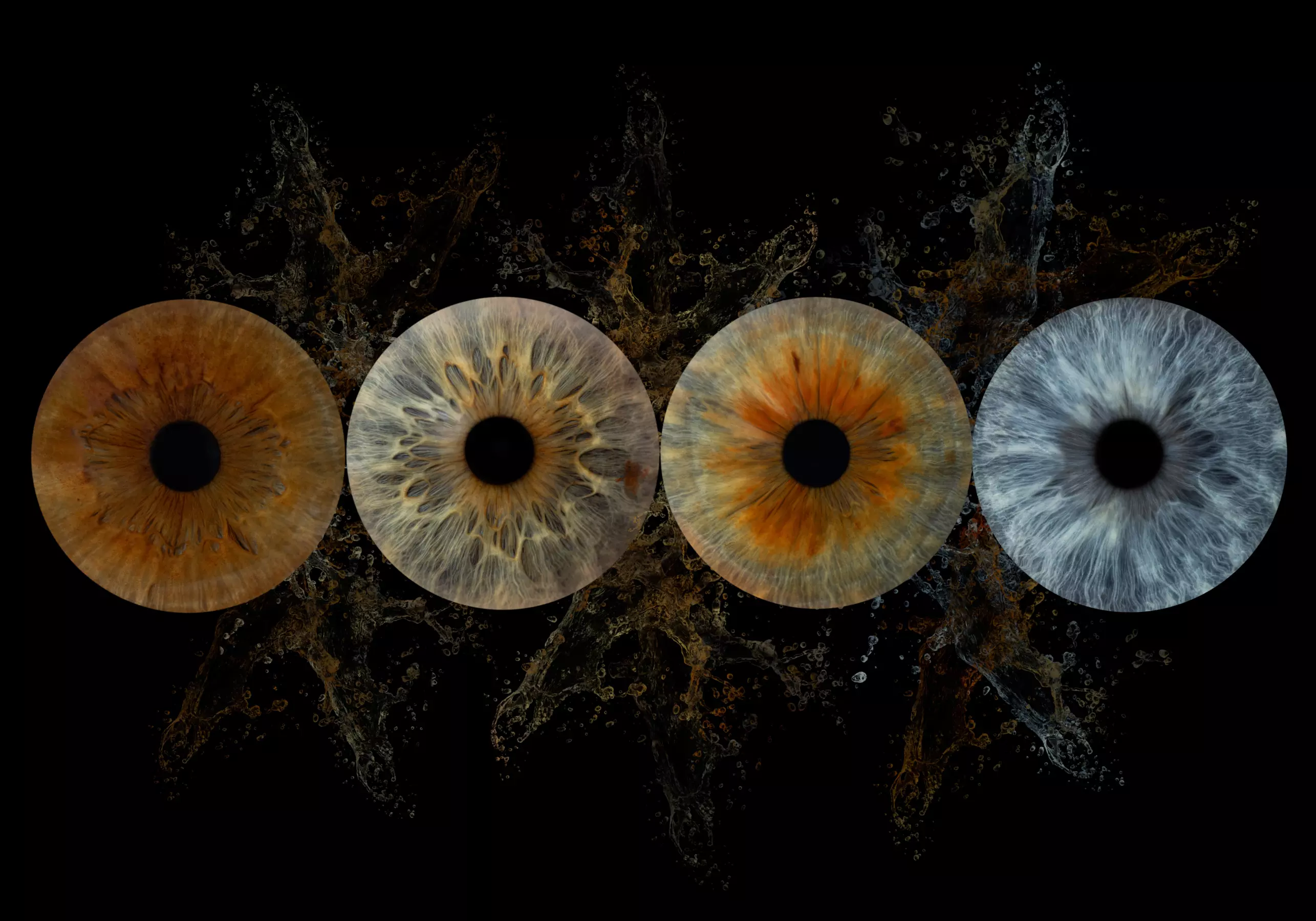 Je oog als kunstwerk: Irisshoot voor 1 of 2 personen