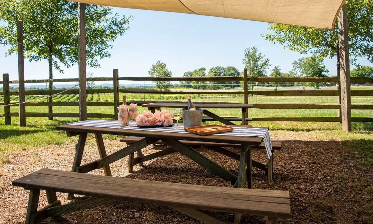 Book a Group Event in the Scenic Virginia Countryside