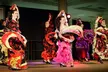 1, 3, or 5-Class Pass Options – Flexible Fitness Deals to Fit Your Schedule at Nalini Dance(Up To 51% Off) - Second Medium