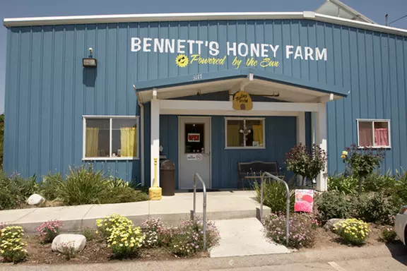 ''Bee my Valentine'': Tasting & Take Home Four or Eight 1lb Honey Jars at Bennett's Honey Farm Up to 32% Off - Second Medium