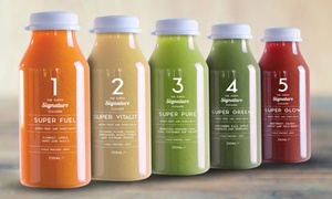 Fifteen Juices Plan 