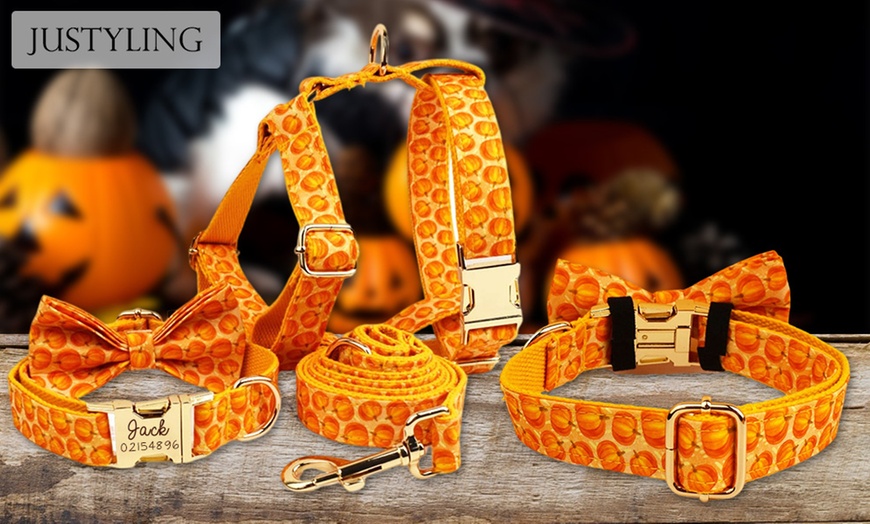 Image 3: Un collier aussi unique que votre animal