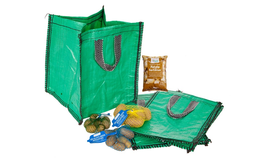 Image 4: YouGarden Three Packs of Potato Growing Selection 