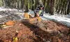 Join Bushcraft & Traditional Survival Skill Training on Day or Overnight @The Wildland  Experience(Up to 50%Off)