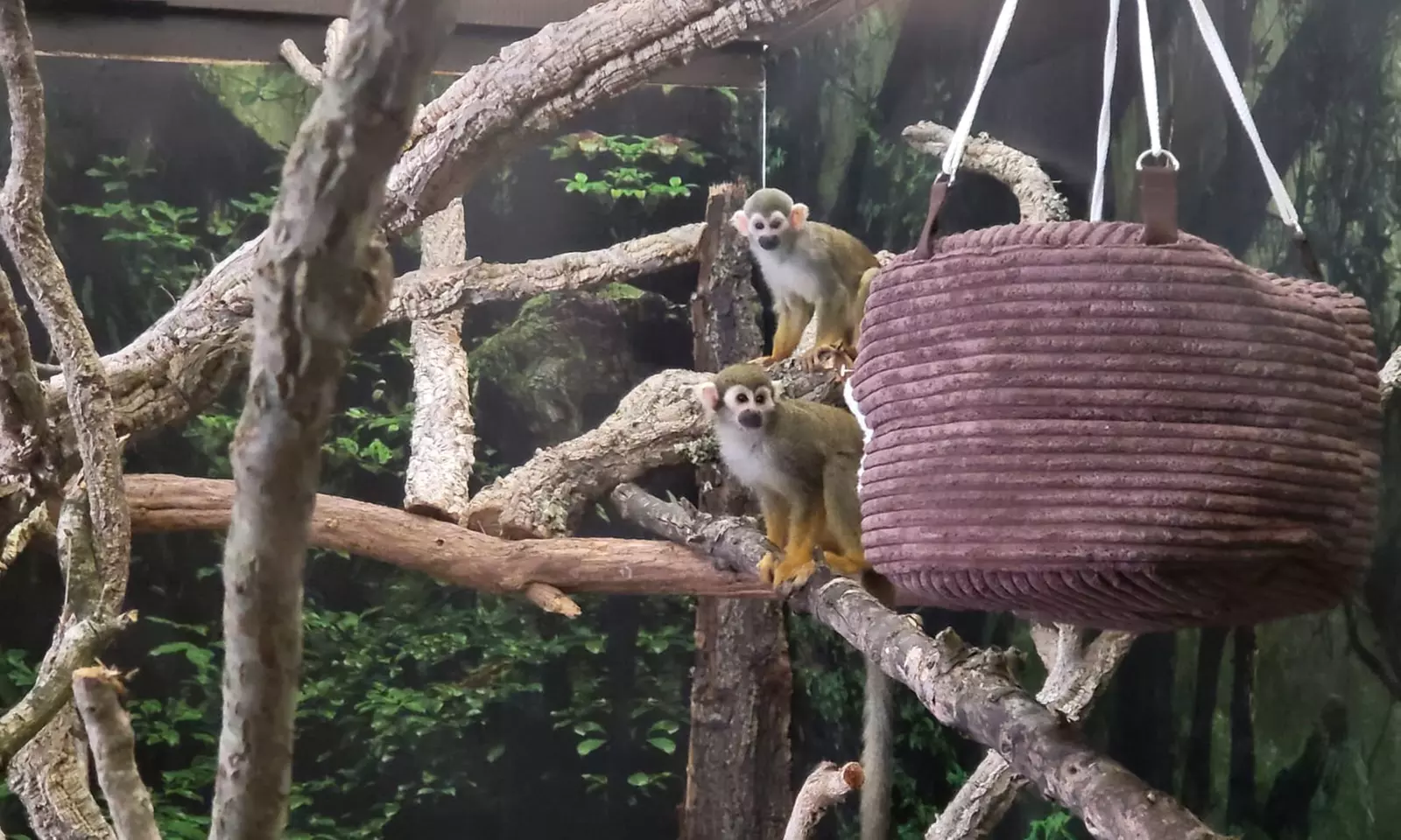 Up to 14% Off on Zoo / Animal Park at Get To Know Animals