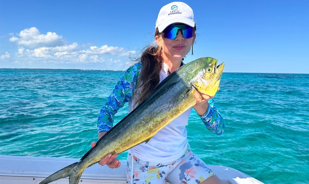 What to expect media