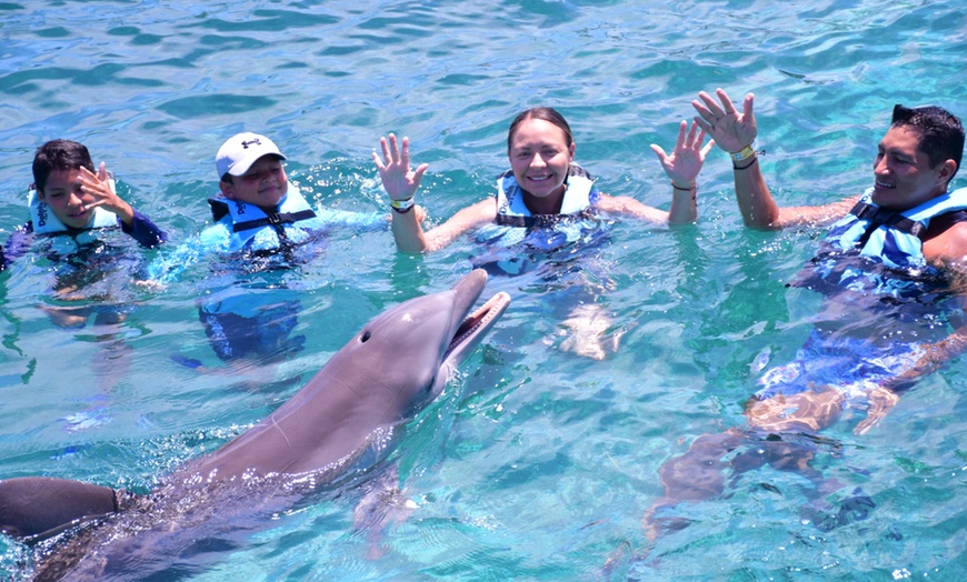Image 3: Up to 42% Off Dolphin Experiences at Dolphin Discovery