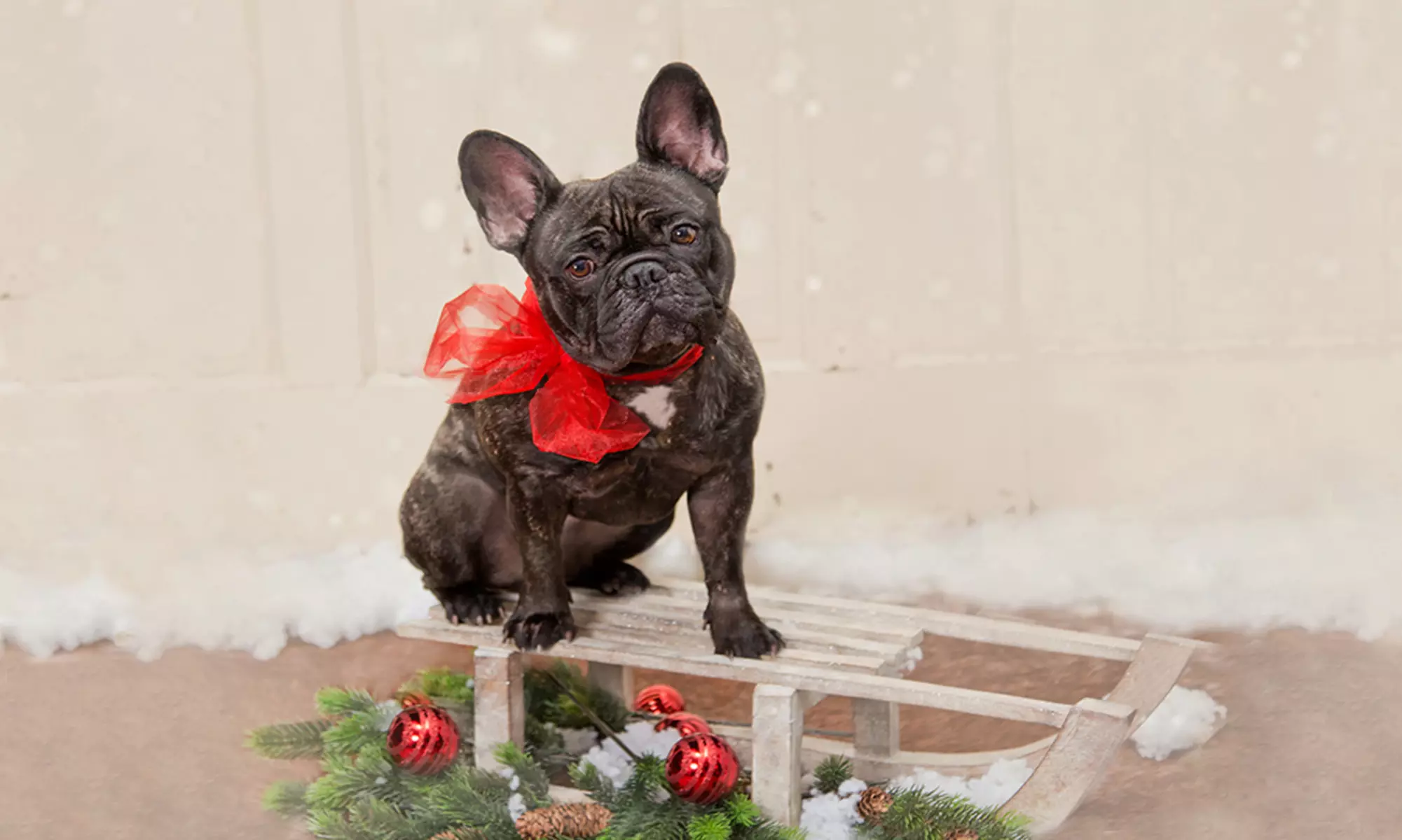 Up to 69% Off on  at Tellier Photography Designs