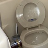 Image 9: Up to 91% Off on Powerboat Rental at Penielus LLC