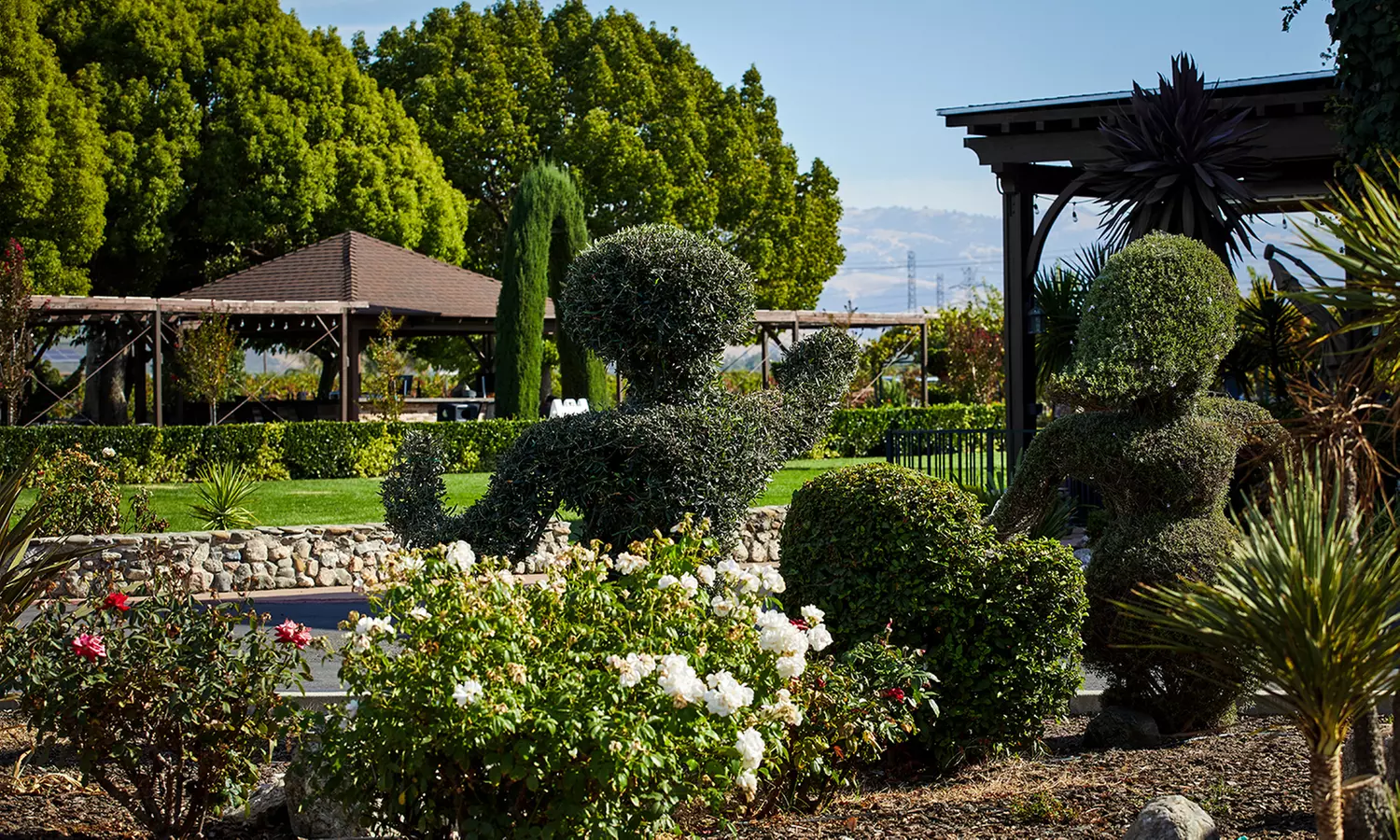 Wine Tasting w/ Chocolate Pairing for Two or Four w/ or w/o Bottle