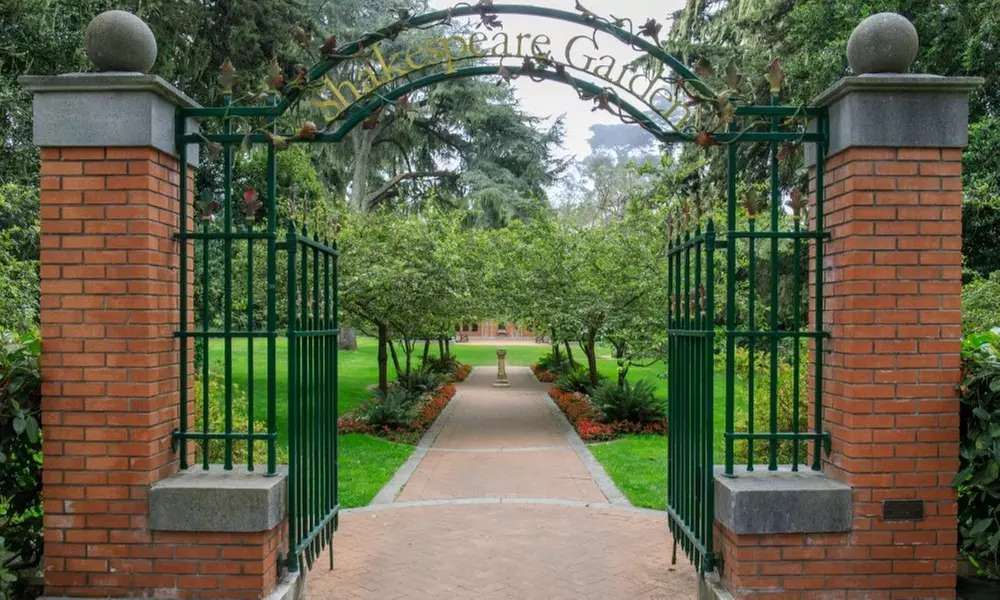 Guided Golden Gate Park Walking Tour w/ California Academy of Sciences