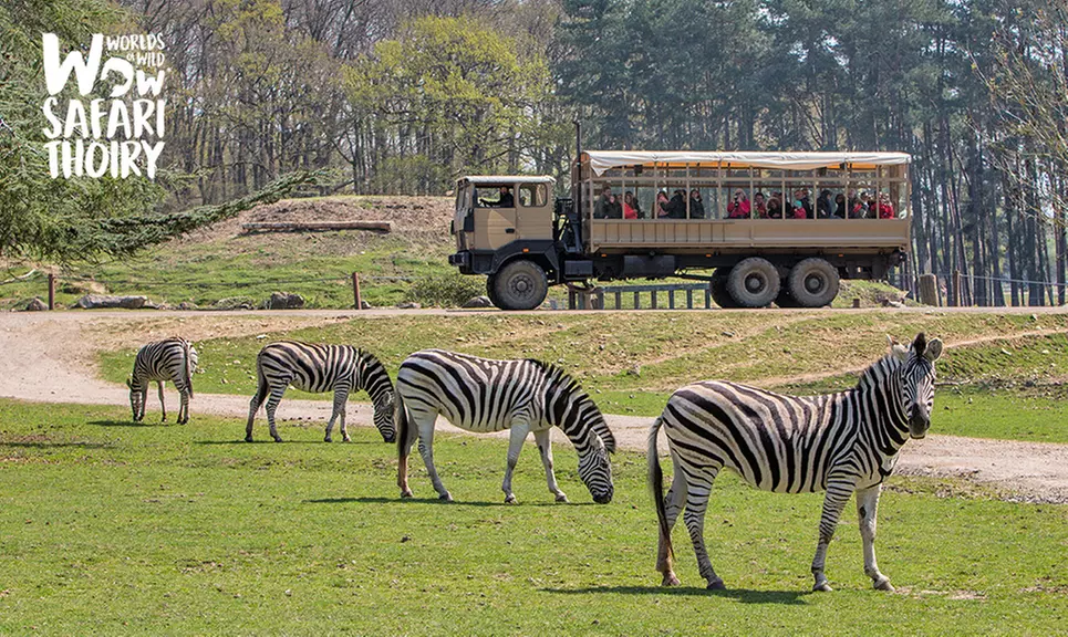 Safari grandeur nature au Zoo Safari de Thoiry