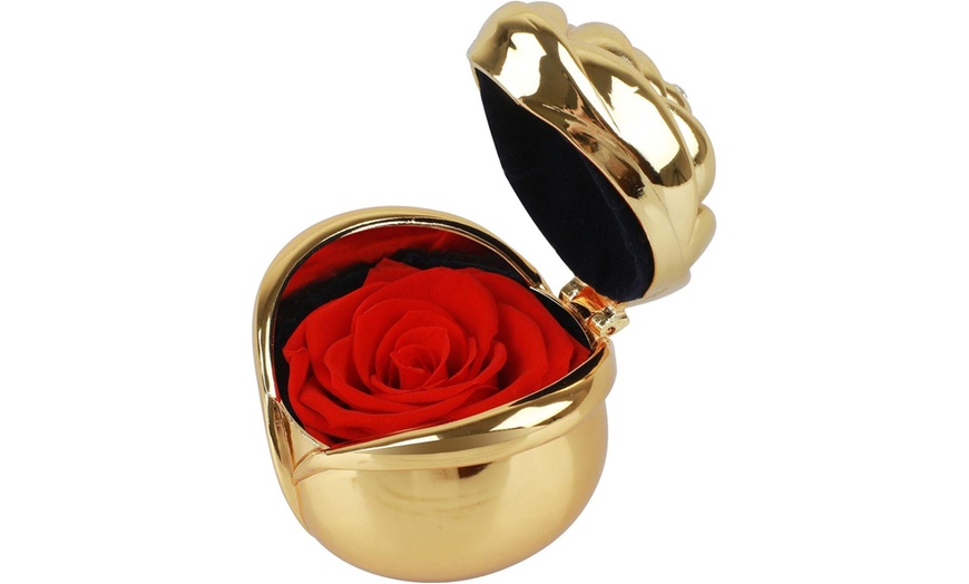 Image 2: Rosa eterna