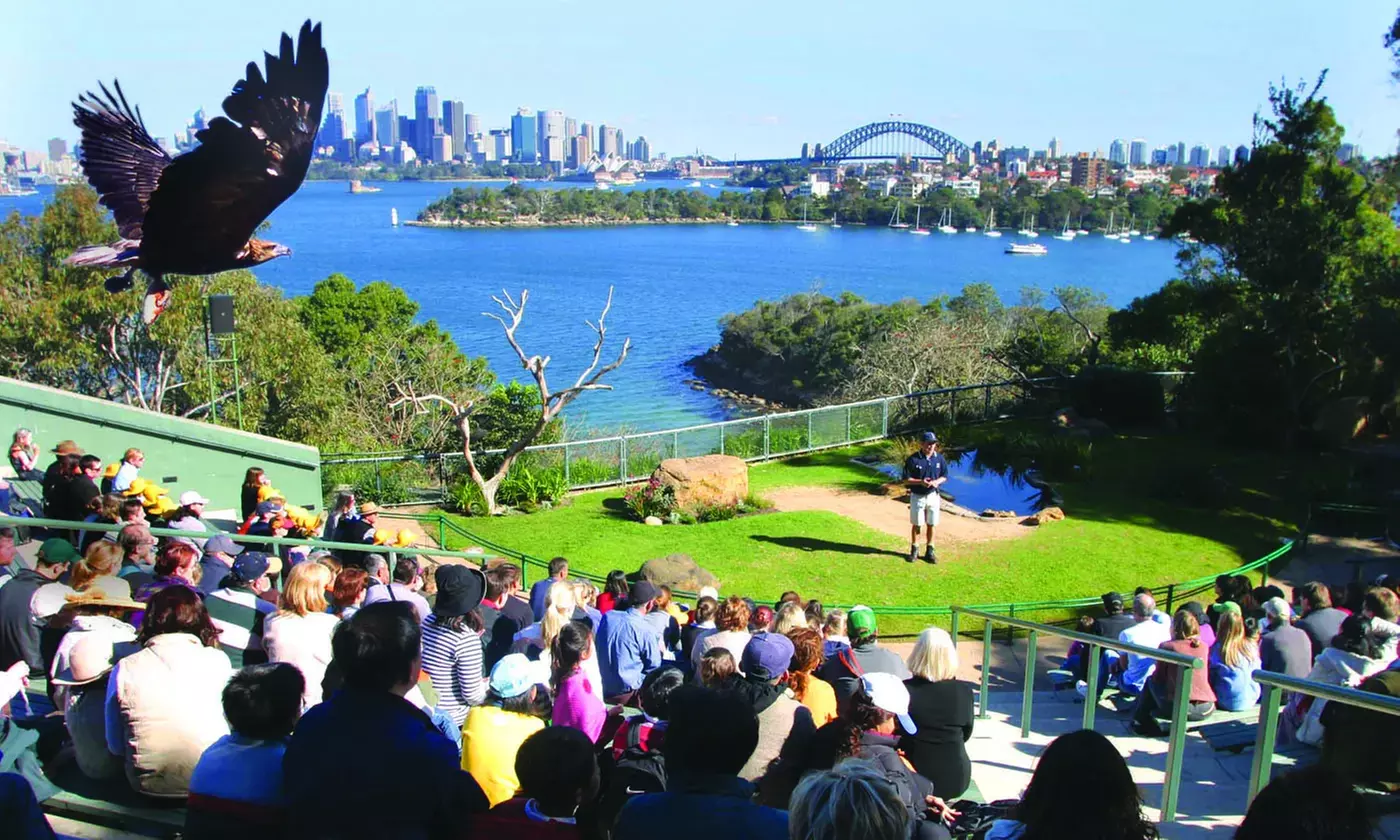 Explore Sydney Harbour & Taronga Zoo + Return Ticket - Child or Adult