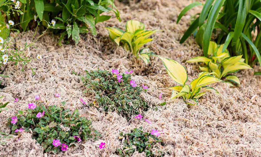 INCREDi Mulch Plus Wood Fibre Mulch with Slow-Release Feed 10L or 50L