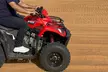 Dubai Dune Bike Adventure Experience with Quad Bike, 800cc, or 1000cc Buggy at Al Khaima Tours (Up to 60% Off) - Image 4