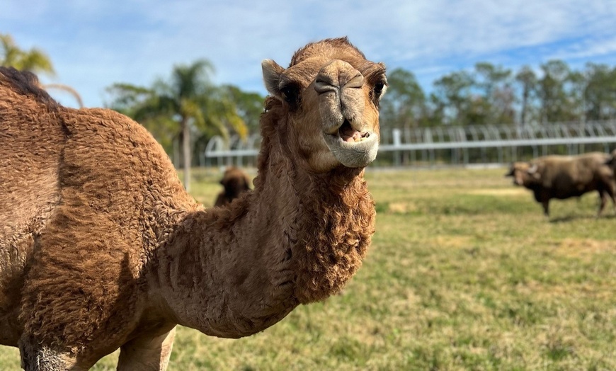 Image 2: Explore 2,500-Acre Estate with Modified Monster Trucks & Wildlife! 