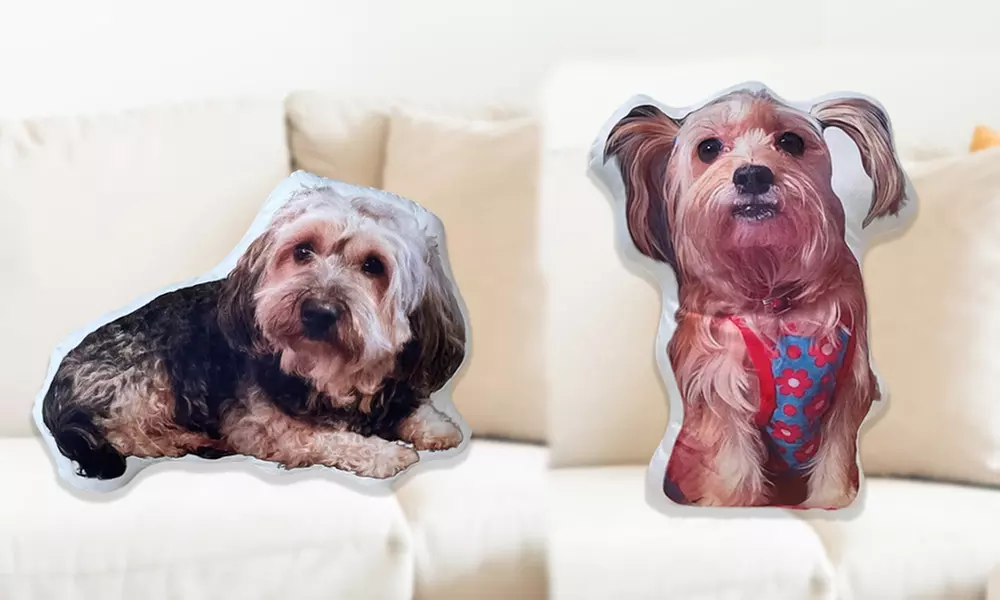 Gepersonaliseerd kussen/knuffel