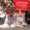 Image 1: JCPenney Portraits In-Studio Family & Pet Photography Sessions