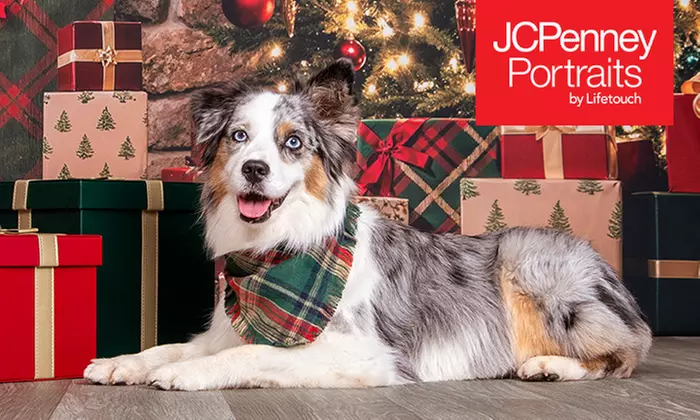 JCPenney Portraits In-Studio Family & Pet Photography Sessions