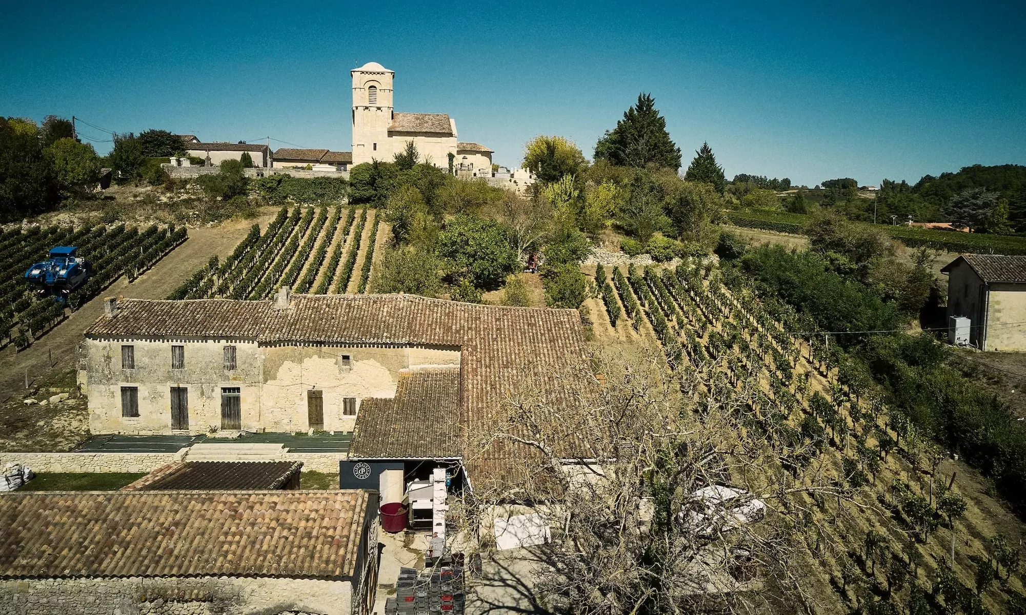 Domaine Baudon : visite guidée et dégustation de 5 cuvées avec planche