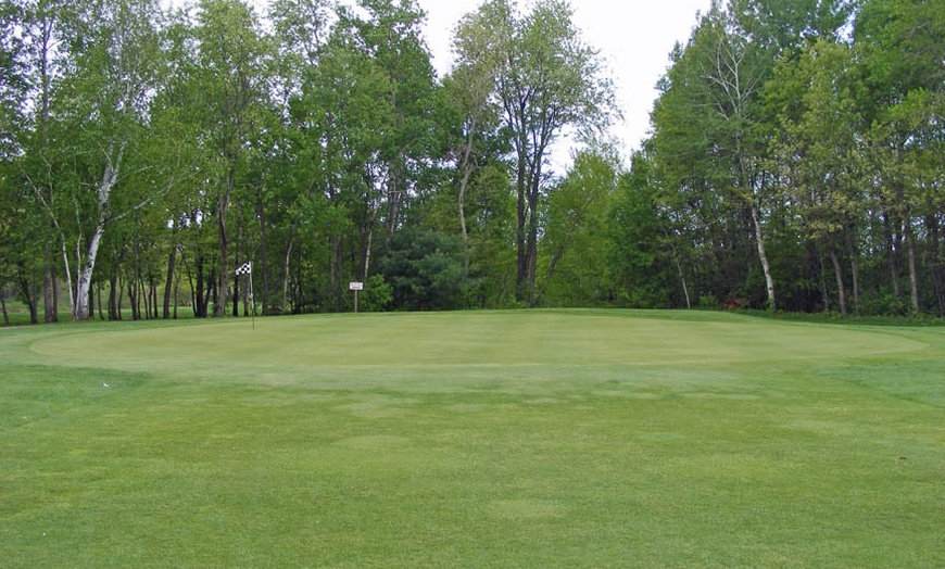 Image 5: Play 18-Holes of Golf with Cart Rental for Two or Four at Falcon Ridge