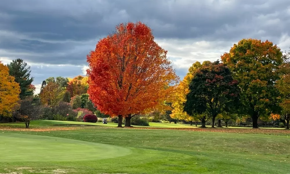18-Hole Golf Round with Cart – Fremont