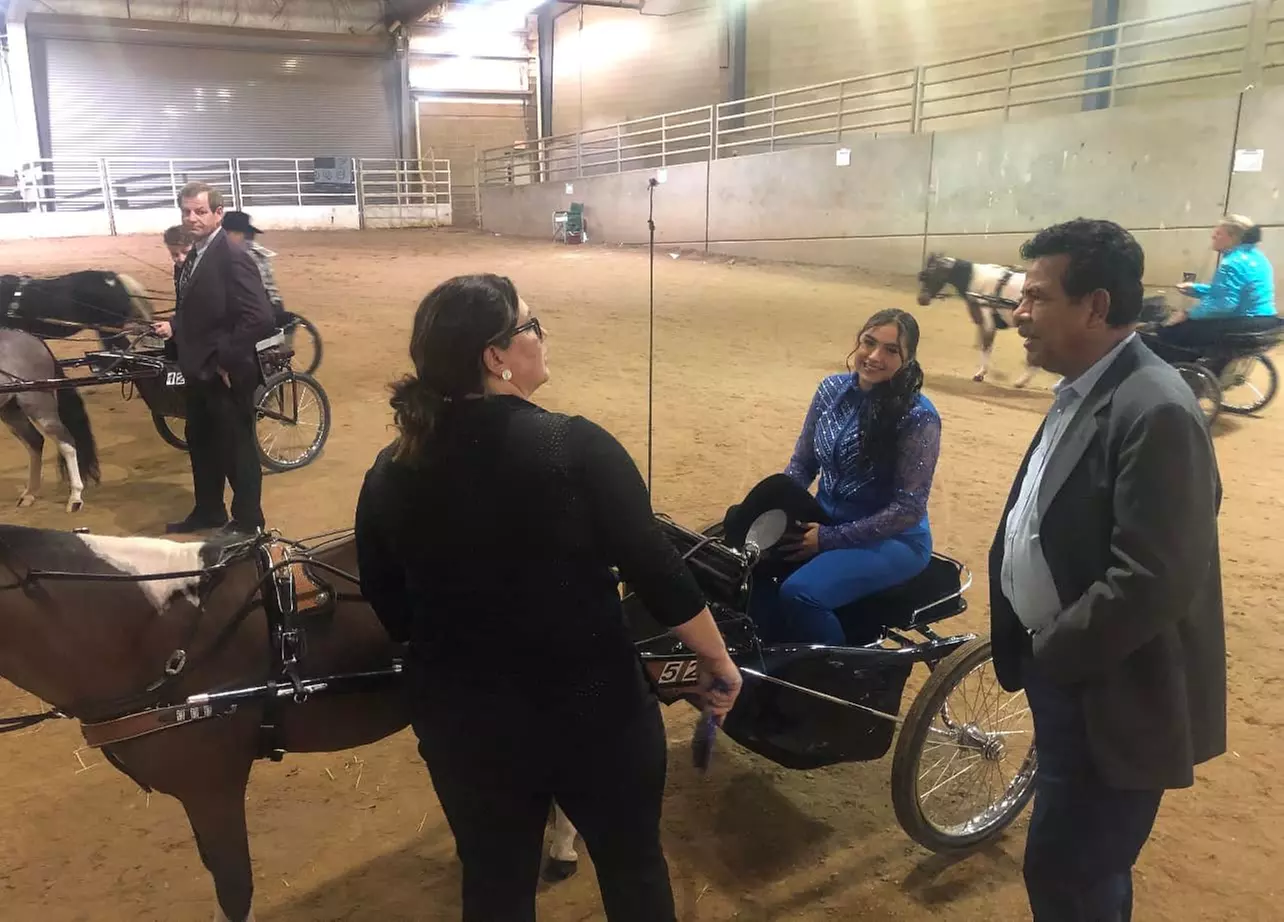 Mini Horse Cart Driving Lessons – A Unique Animal Bonding Experience