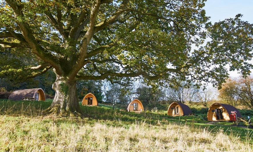 Image 8: Forest of Dean: Glamping Pod for Two