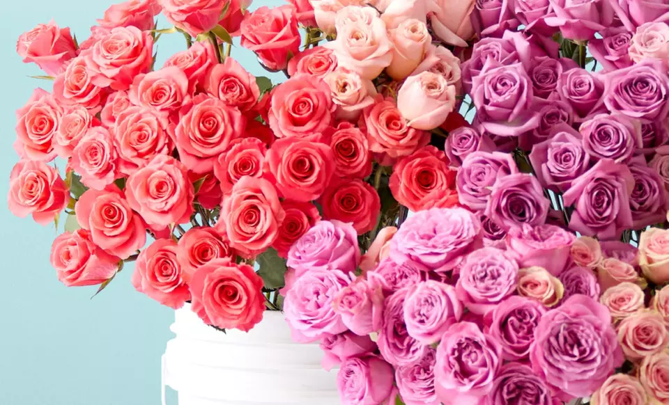 Next Day Delivery Radiant Fresh Flowers from 1-800-Flowers.com (up to 55% off)