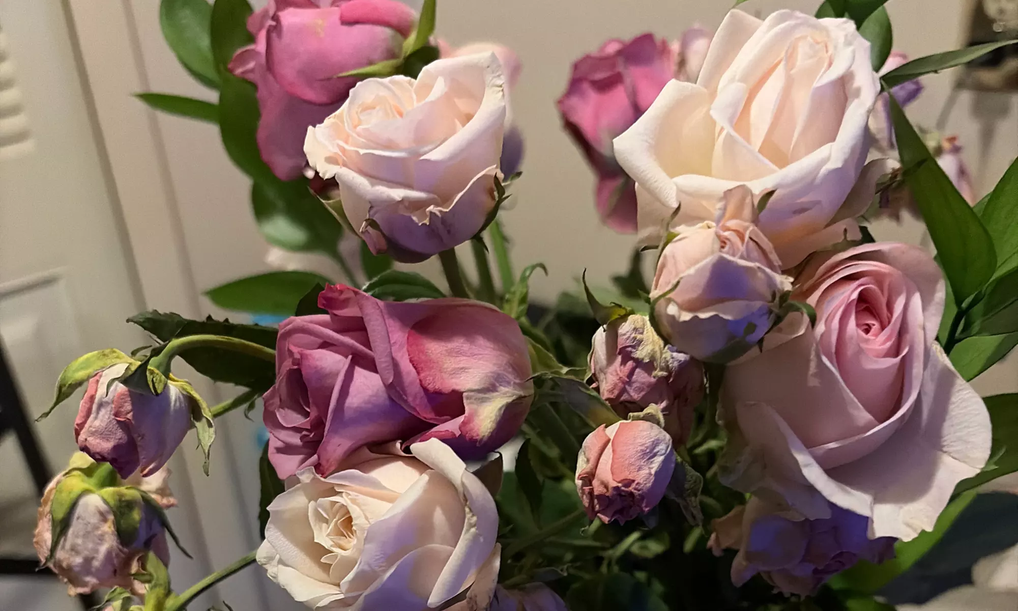 Elevate Every Occasion with Rose Farmers: Luxury Fresh Flowers & Bouquets!  (Up To 71% Off)