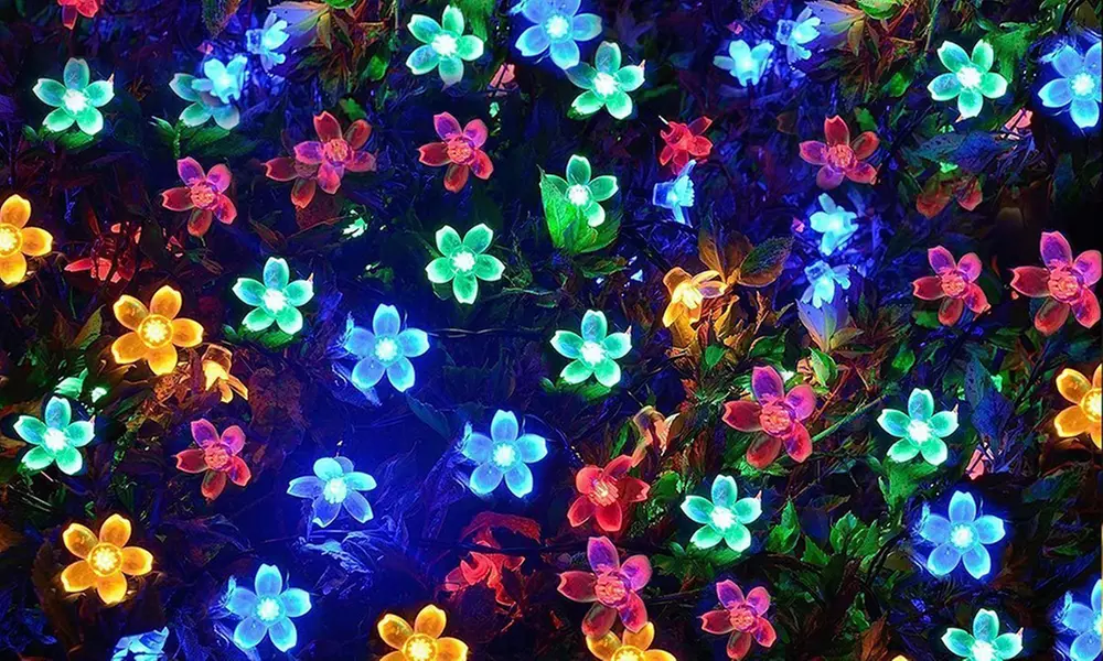 1 o 2 stringhe di luci LED ad energia solare