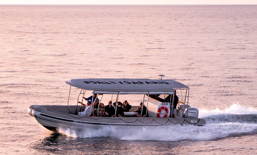 Image 7: Four-hour of Whales & Beaches, Big Woody Hiking, or Island Hopper