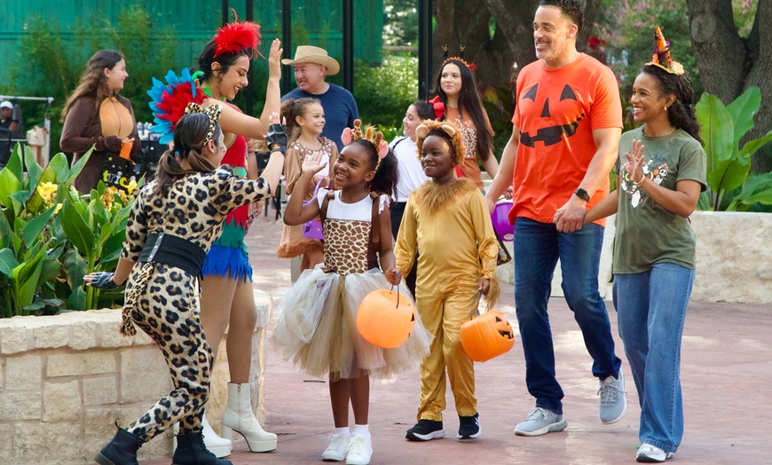Image 2: FLASH SALE! Exhilarating Wildlife Adventure at San Antonio Zoo!