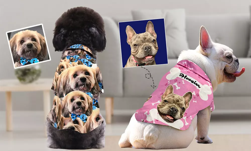 Custom Pet Fashion – Pawsome Style & Comfort Tailored Just for Them