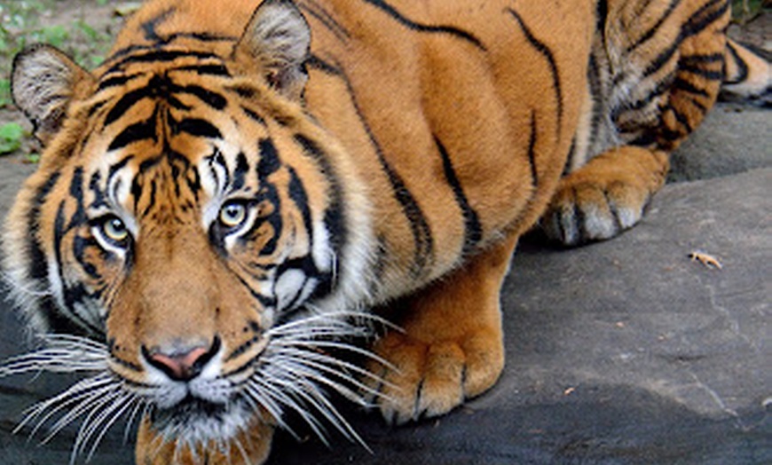 Image 10: CityPASS® - Save up to 38% on Admission to Top Toronto Attractions