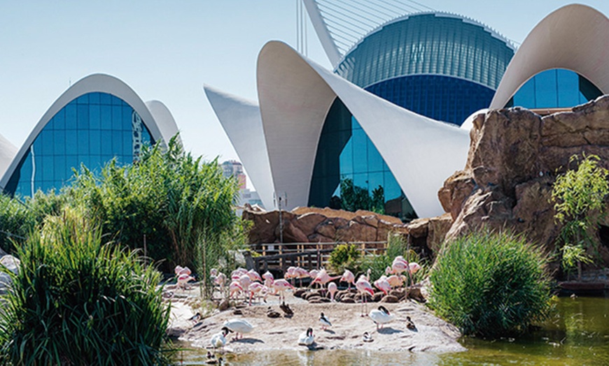 Image 15: Entrada de 1 día al Oceanogràfic, Museo Príncipe Felipe y/o Hemisfèric