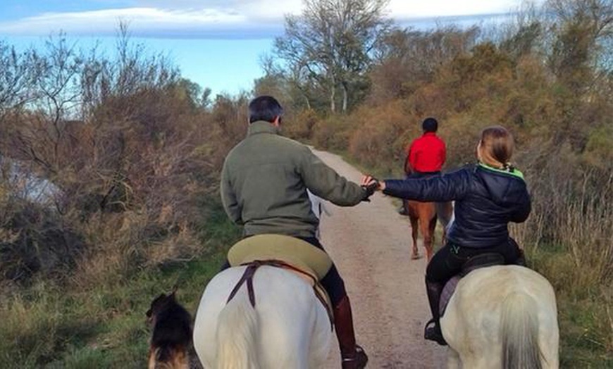 Image 4: Paseo a caballo de 60 min en Centro Hípico Finca Ecuestre La Primavera