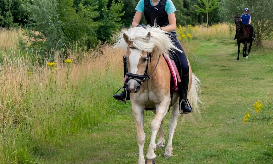 Image 3: Avontuurlijk paardrijden met bosrit of waterrit incl. begeleiding