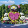 Image 13: Dubai Miracle Garden + Butterfly Garden Combo Tickets (For 1, 2, or 4)